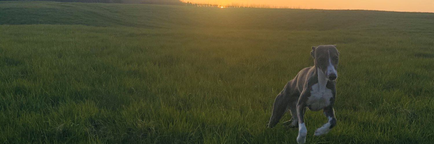 Andrew Woolley banner