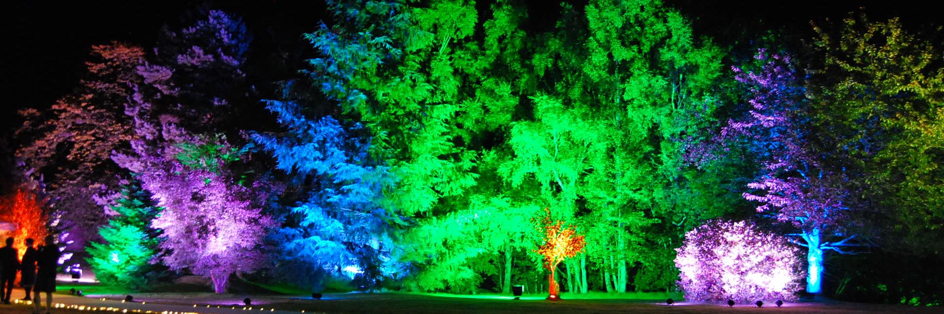 Charlotte Mitchell banner