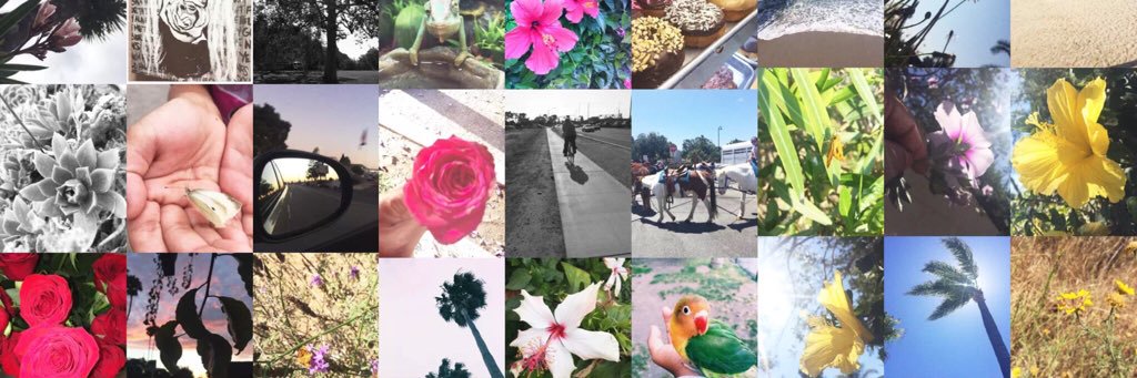 luz_C_'s profile banner image