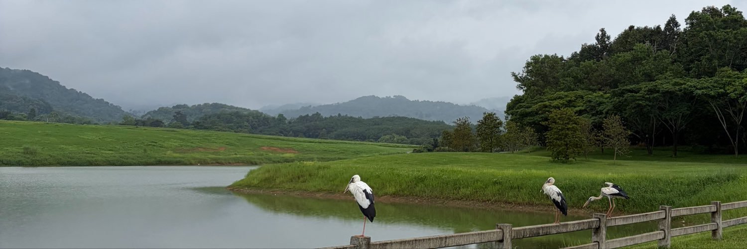 kalaaaa23's profile banner image