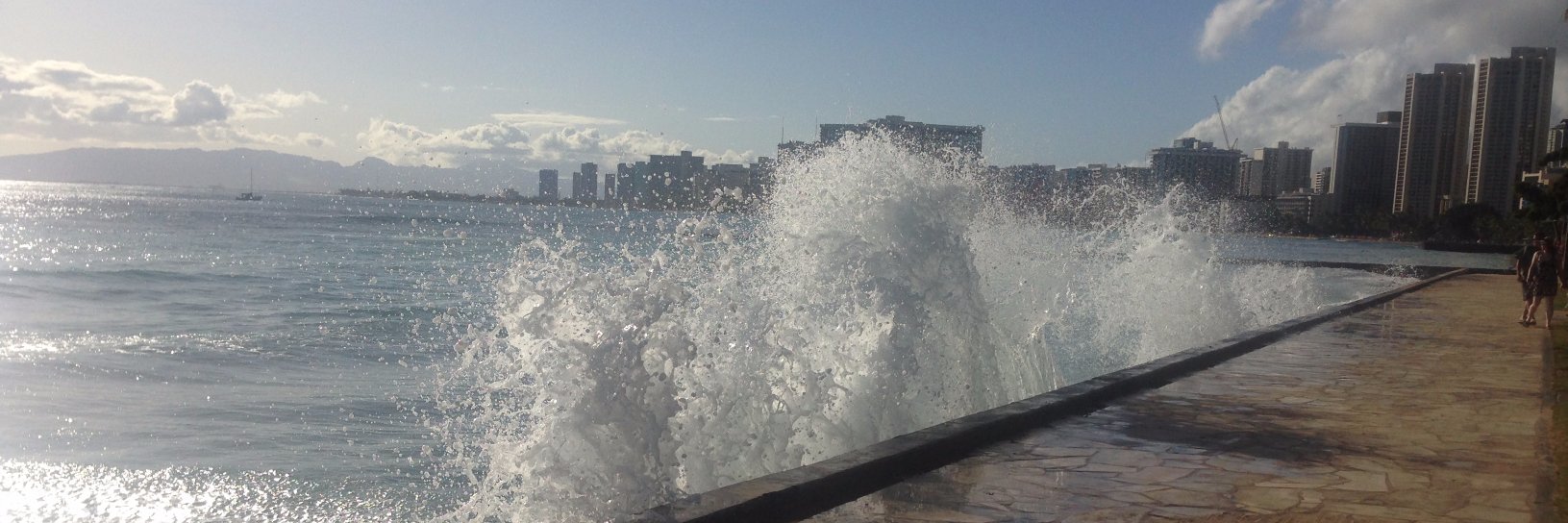 Scott Robertson banner