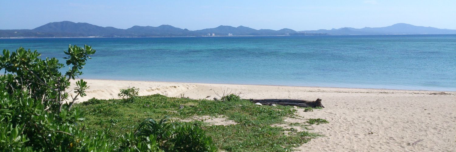 翡翠 banner