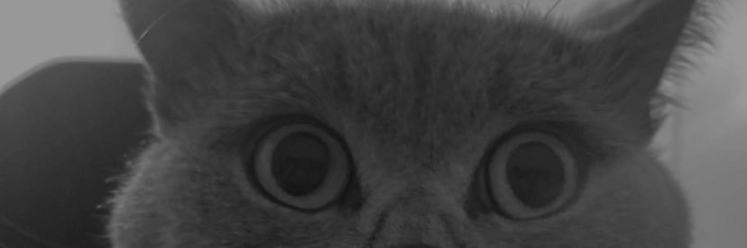 furkansef's profile banner image