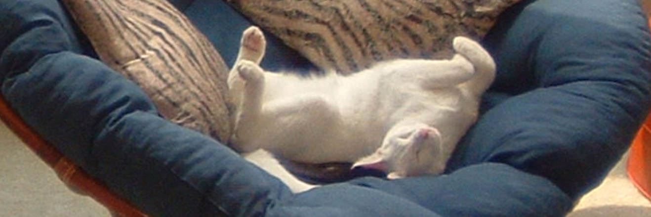 mister_chivers's profile banner image