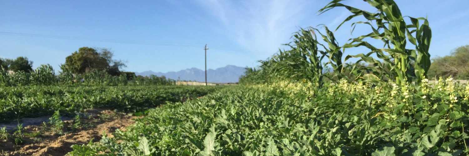 agrogod's profile banner image