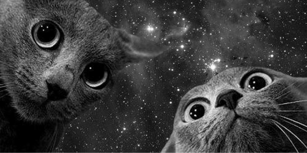 LAURMILA's profile banner image