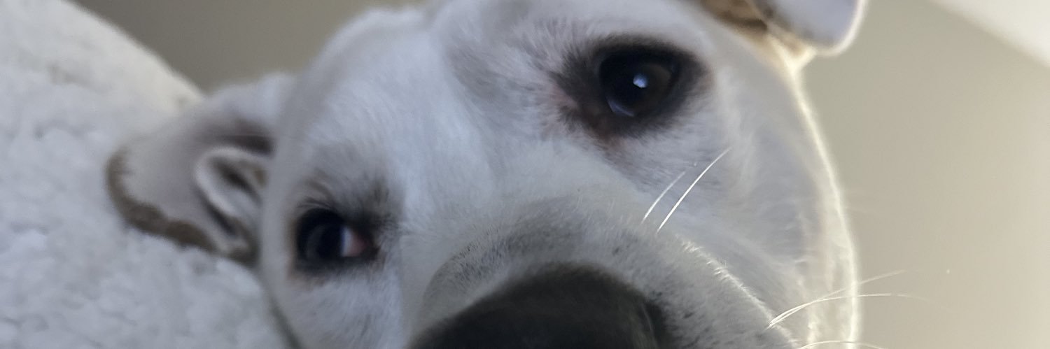 makzimmermann's profile banner image