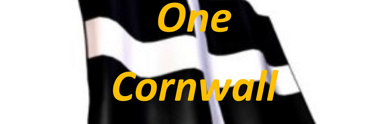 One Cornwall banner