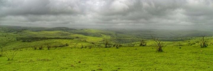 d79691's profile banner image