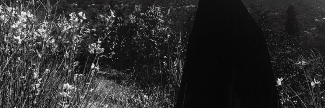 vveveness's profile banner image