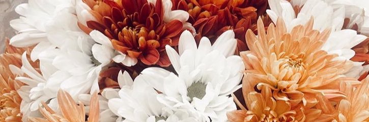 coleH_13's profile banner image