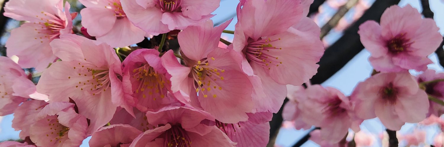hss_bsnum's profile banner image