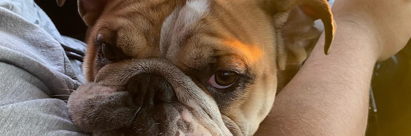 itmiguelito's profile banner image