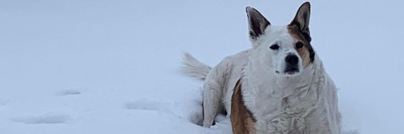 ryank9918's profile banner image