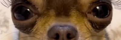 alwayswiki's profile banner image