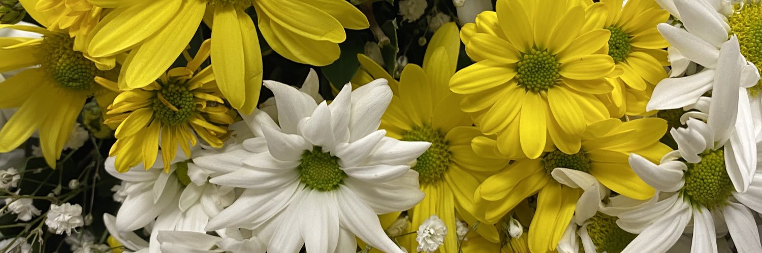 cigdemmkaracaa's profile banner image