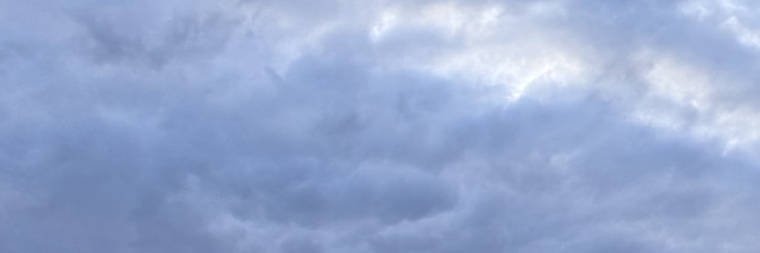 siebedierckx's profile banner image