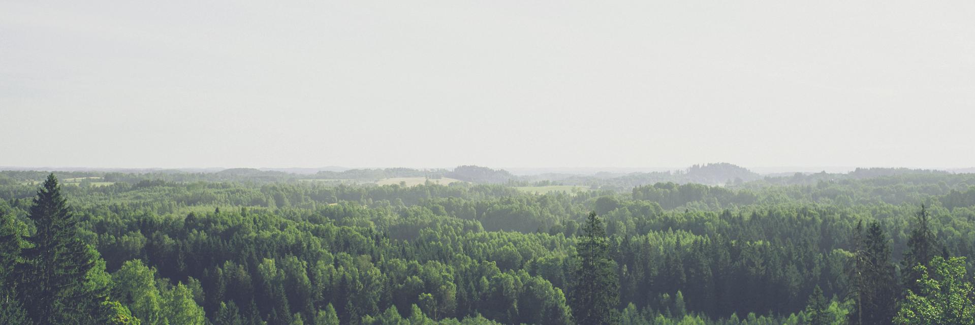 SamaroneMichael's profile banner image