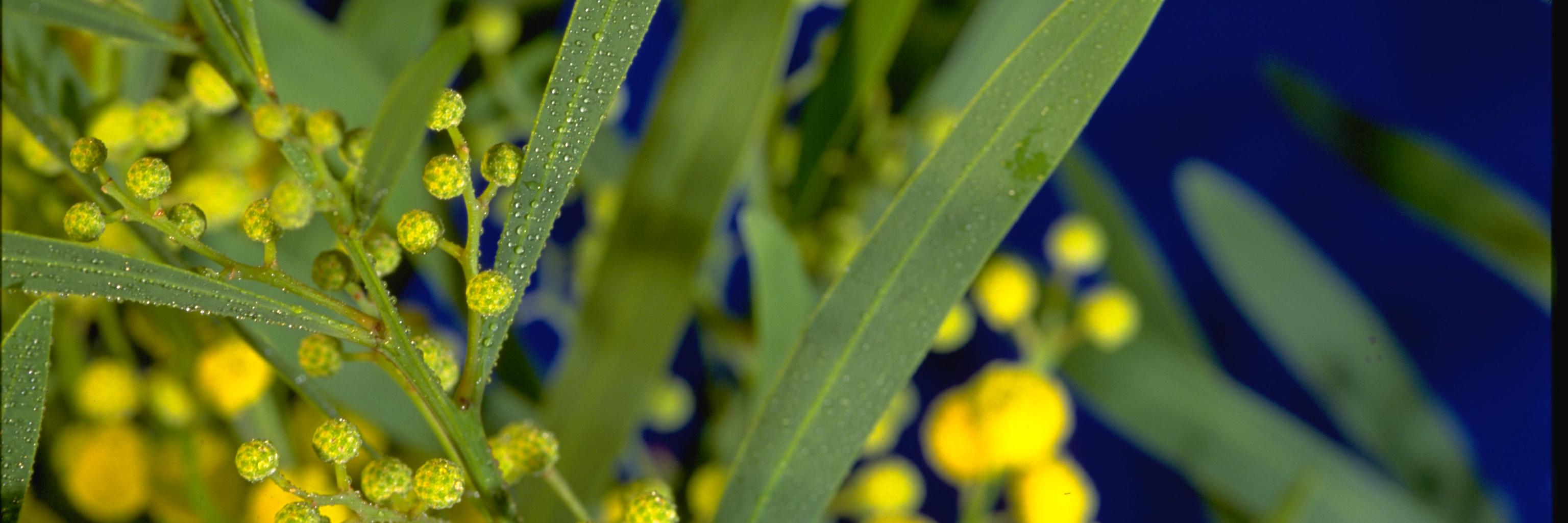 EHF_biochem's profile banner image