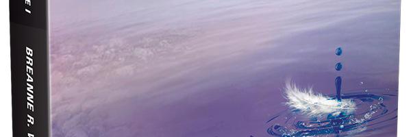 BreanneRWinkle's profile banner image