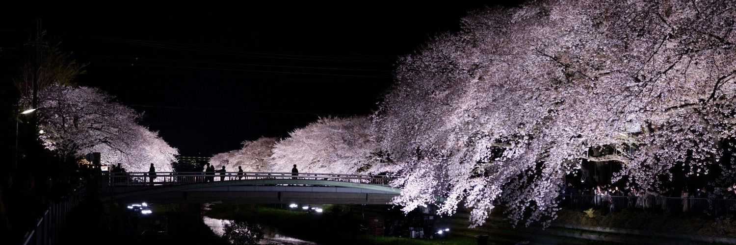 Roierdesu's profile banner image