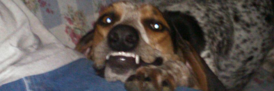 MichaelJones027's profile banner image