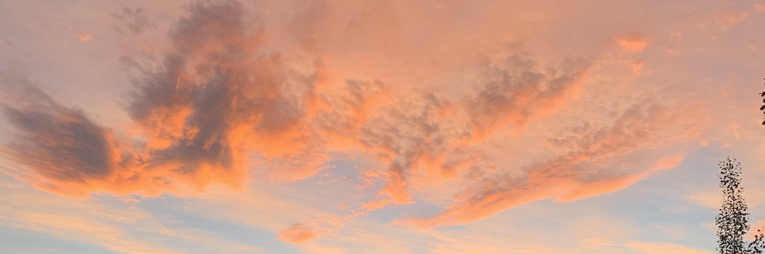 lindsblanc's profile banner image
