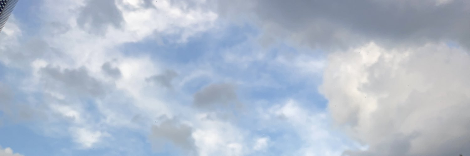 DelaneyTrushel's profile banner image