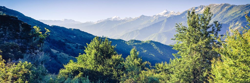theTCTrail's profile banner image