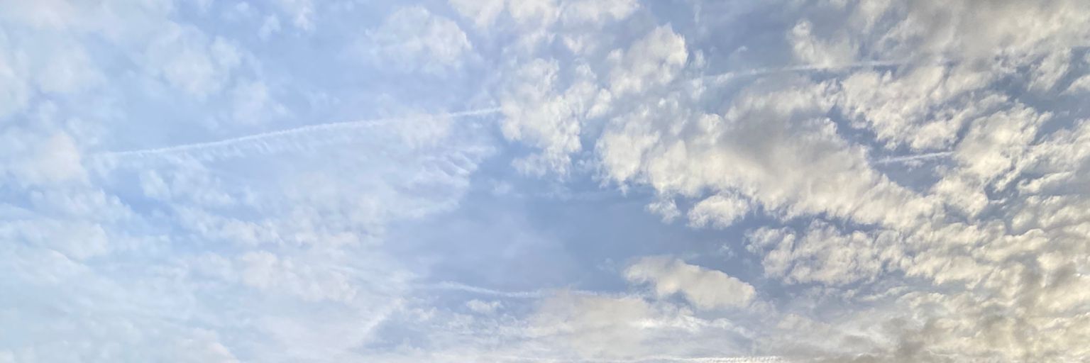 claraa_king's profile banner image