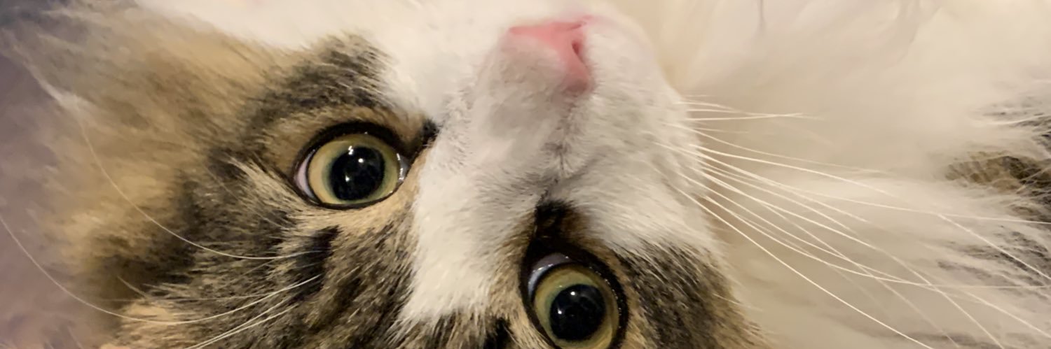 flagaka's profile banner image
