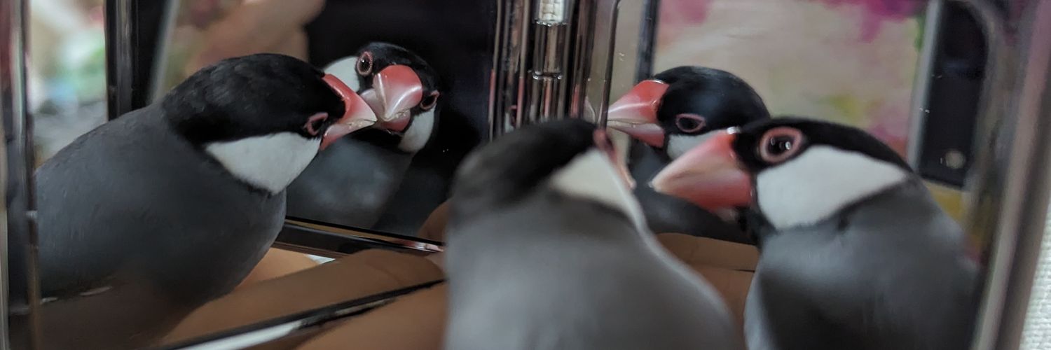 normali299's profile banner image