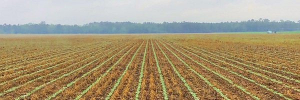 AlexHarrell21 Profile Banner