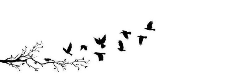 wrood14187's profile banner image