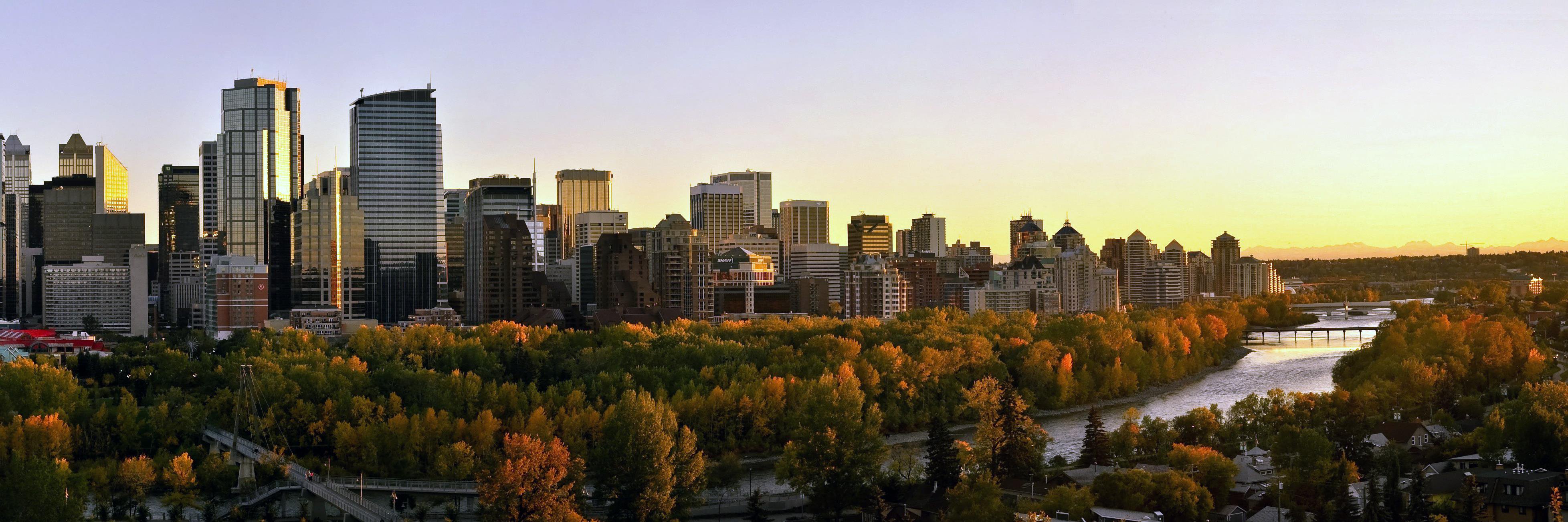 Andrew Morgan banner