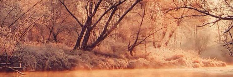 canshe1020's profile banner image