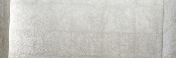 mintcanon's profile banner image