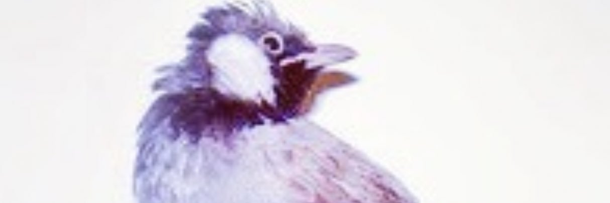 Bul_Bul25's profile banner image