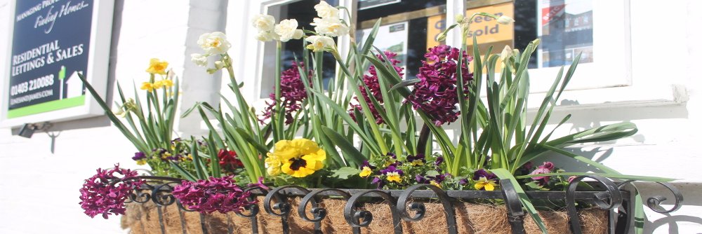 Lines & James banner