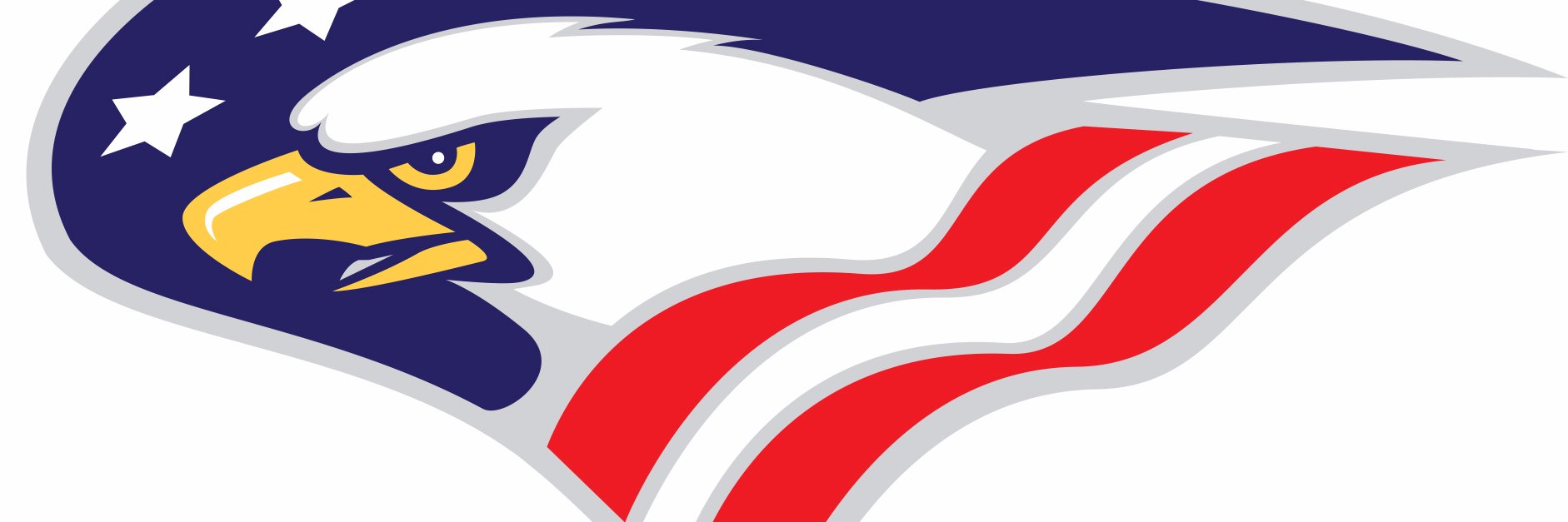 MSSD Eagles banner