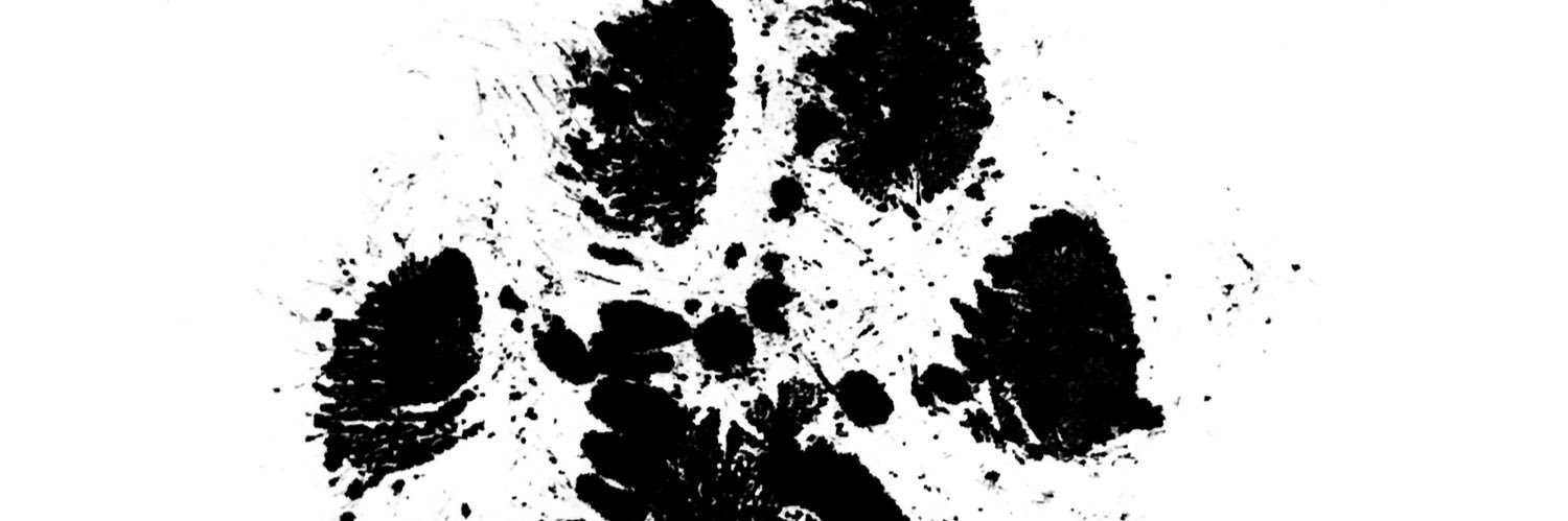 elixosh's profile banner image