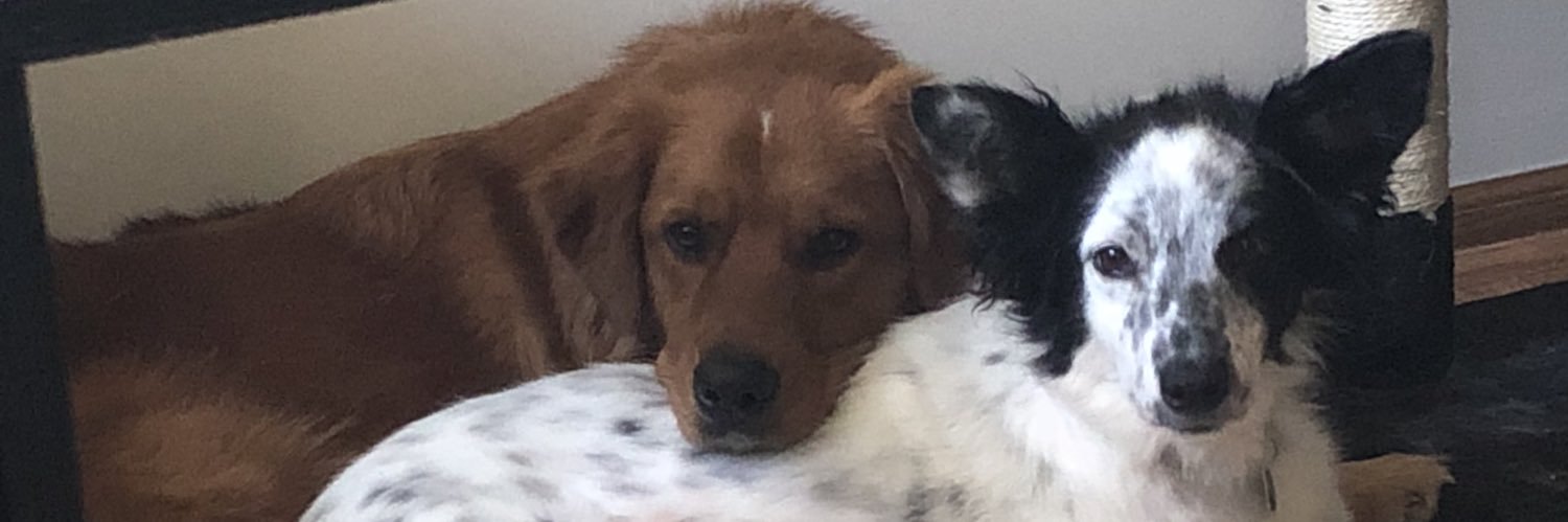 TheShaneRich's profile banner image