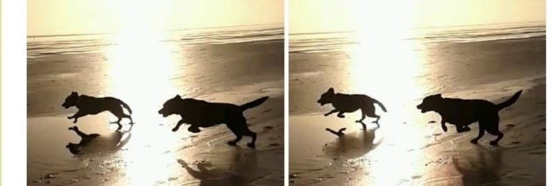 ImkeSingingintherain banner