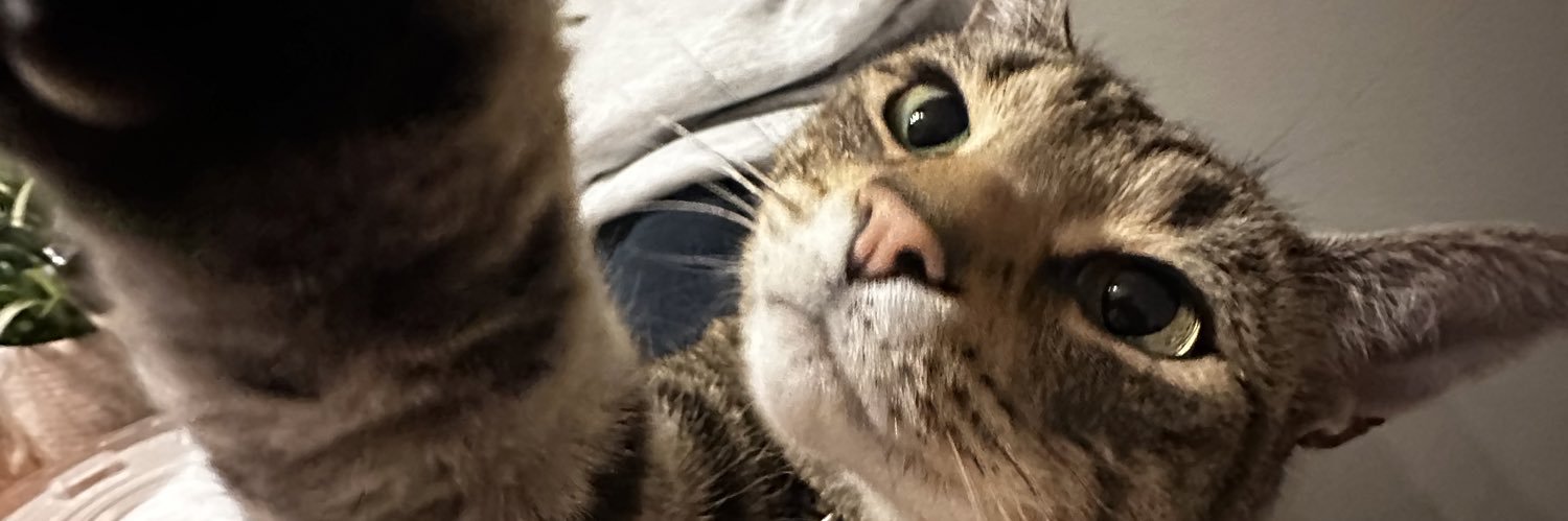 adriansellinger's profile banner image