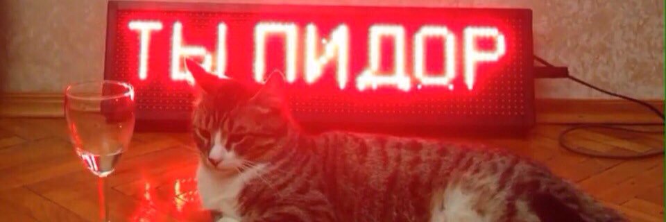 lerakinderkent's profile banner image