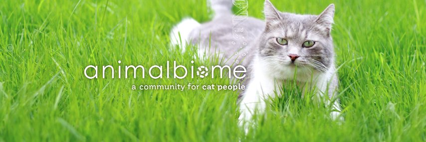 kittybiome's profile banner image