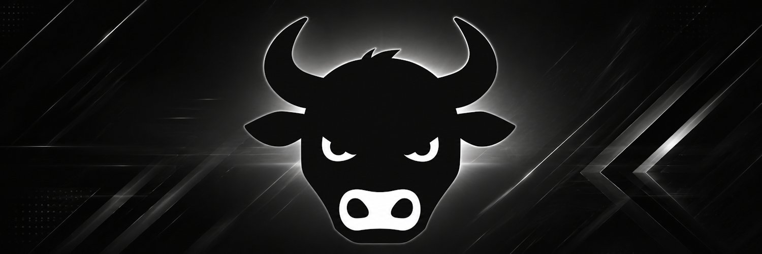 BULLRUN_DEV's profile banner image