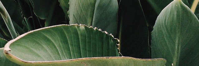 coverofclouds's profile banner image