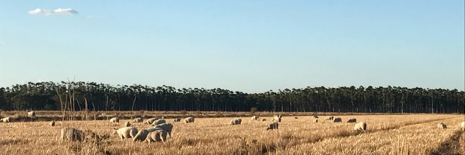 PrueBranagh's profile banner image