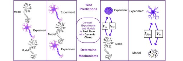 Cytocybernetics Profile Banner
